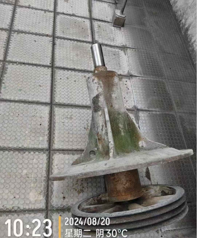 减速机轴承更换Hxngb20240924